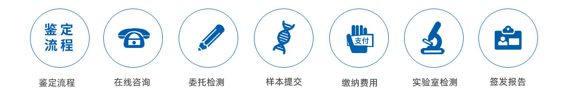 鉴定流程